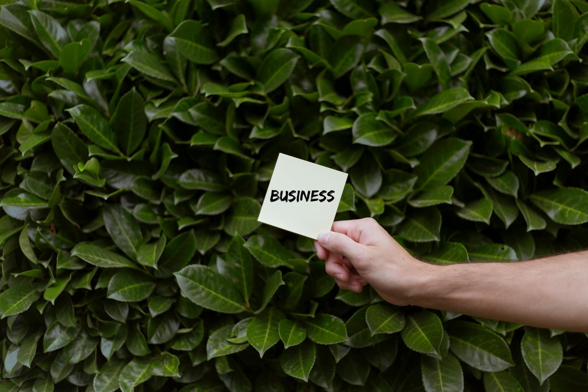ISO 14001 environmental management certification support